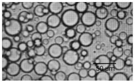 关节腔注射用硫酸羟氯喹缓释微球及其制备方法