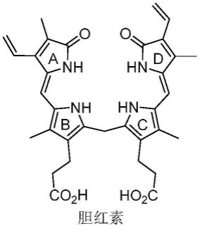 吡咯啉酮类化合物及其合成方法与流程