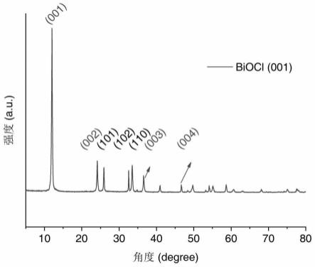 一种光稳定型超薄BiOCl原子层锚定过渡金属单原子催化剂及其制备与应用
