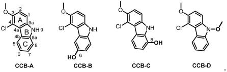 一种氯代咔唑类化合物及其制备方法与应用