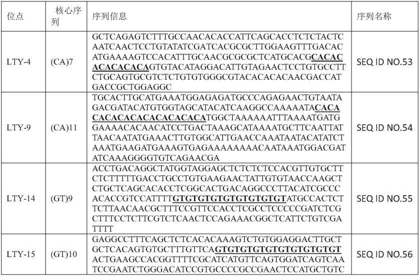 龙头鱼微卫星DNA标记及其引物和应用