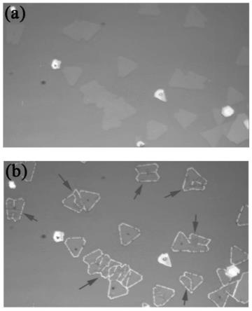 一种二维二硫化钨薄膜晶界的鉴别方法