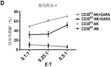 CD38敲除的原代和扩增的人NK细胞的生成