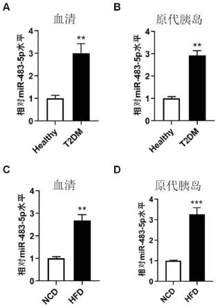 miR-483-5p海绵体及在制备抑制2型糖尿病β细胞去分化的药物中的用途