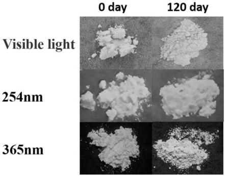 一种无铅稳定的含Te双钙钛矿微米晶及其制备方法和应用