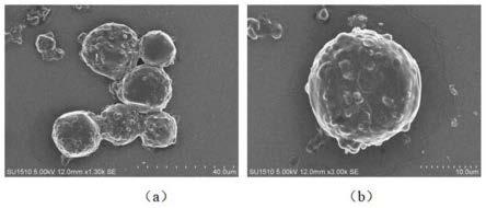一种CO2-温度双重响应型壳聚糖复合微胶囊的制备方法及其应用