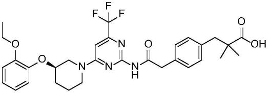 可用作二酰基甘油酰基转移酶2抑制剂的新的酰胺衍生物及其用途的制作方法