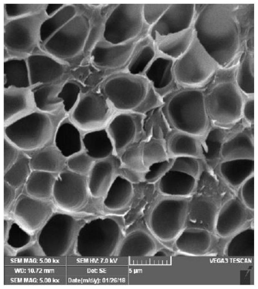 一种植物纤维PHA发泡材料的制备方法与流程