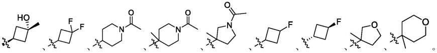 吡啶并嘧啶酮类衍生物及其制备方法和用途与流程