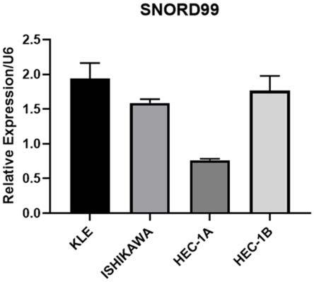 SNORD99作为子宫内膜癌诊断的标志物及其应用
