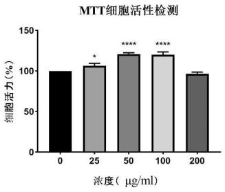 刺老苞粗提取物对肌肉细胞增殖作用