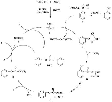 合成碳酸二苯酯的催化剂、碳酸二苯酯制备方法和应用
