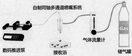 一种利用气体制备CS-PA芯壳微球的方法及其应用