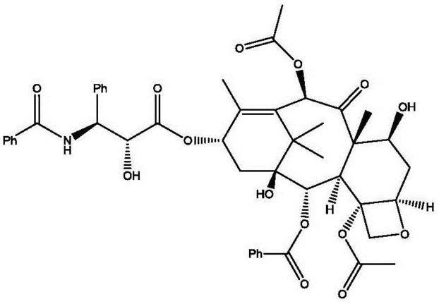 一种紫杉醇棕榈酸酯的制备方法与流程
