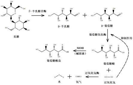 一种酶催化乳糖联产D-半乳糖和葡萄糖酸或葡萄糖酸盐的方法与流程
