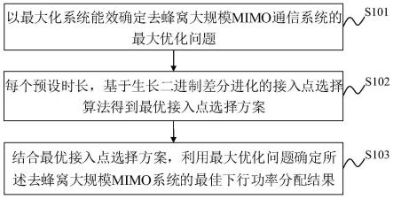 去蜂窝大规模MIMO系统下行功率分配方法及装置
