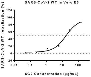 一种抗SARS-CoV-2全人源化单克隆抗体及应用的制作方法