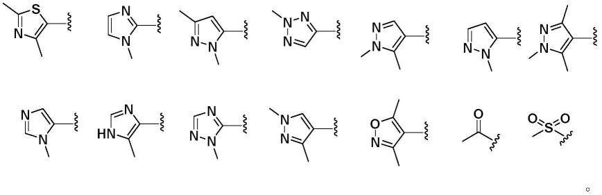 组蛋白乙酰转移酶p300溴结构域抑制剂及其药用组合物及其应用