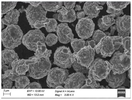 钴酸锂细粉在制备钴酸锂正极材料中的应用的制作方法