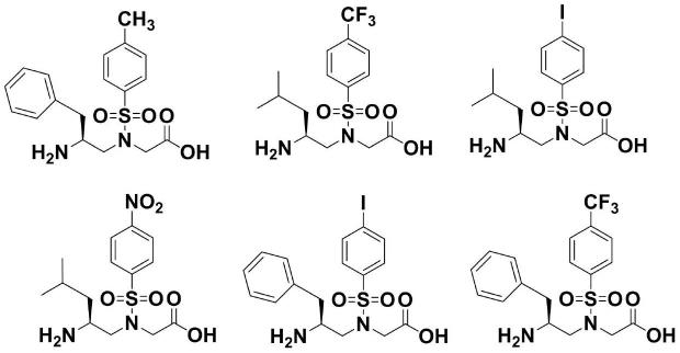 FK3多肽类似物及其应用
