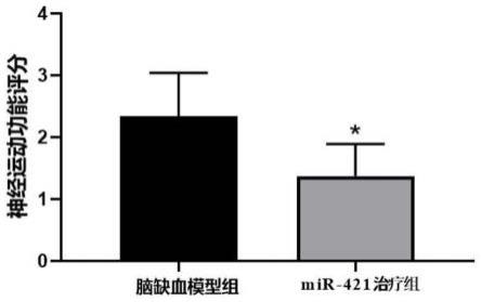 miR-421在制备治疗缺血性脑卒中药物中的应用