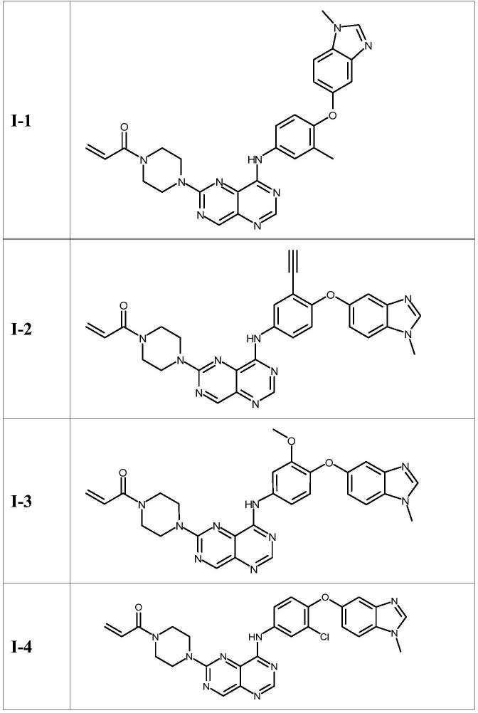 作为HER2抑制剂的[1,3]二嗪并[5,4-d]嘧啶的制作方法