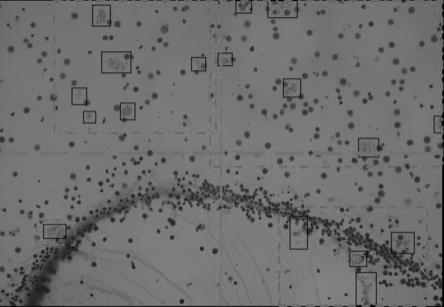 一种自动拟合显微对焦平面的染色体核型分析装置及方法与流程