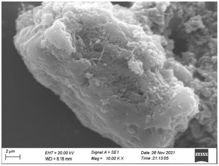 一种石墨烯相氮化碳-硫化铋/高分子复合气管支架