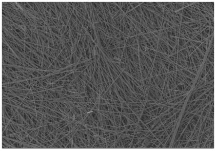 一种氧化钼复合聚苯胺纳米纤维纸及其制备方法