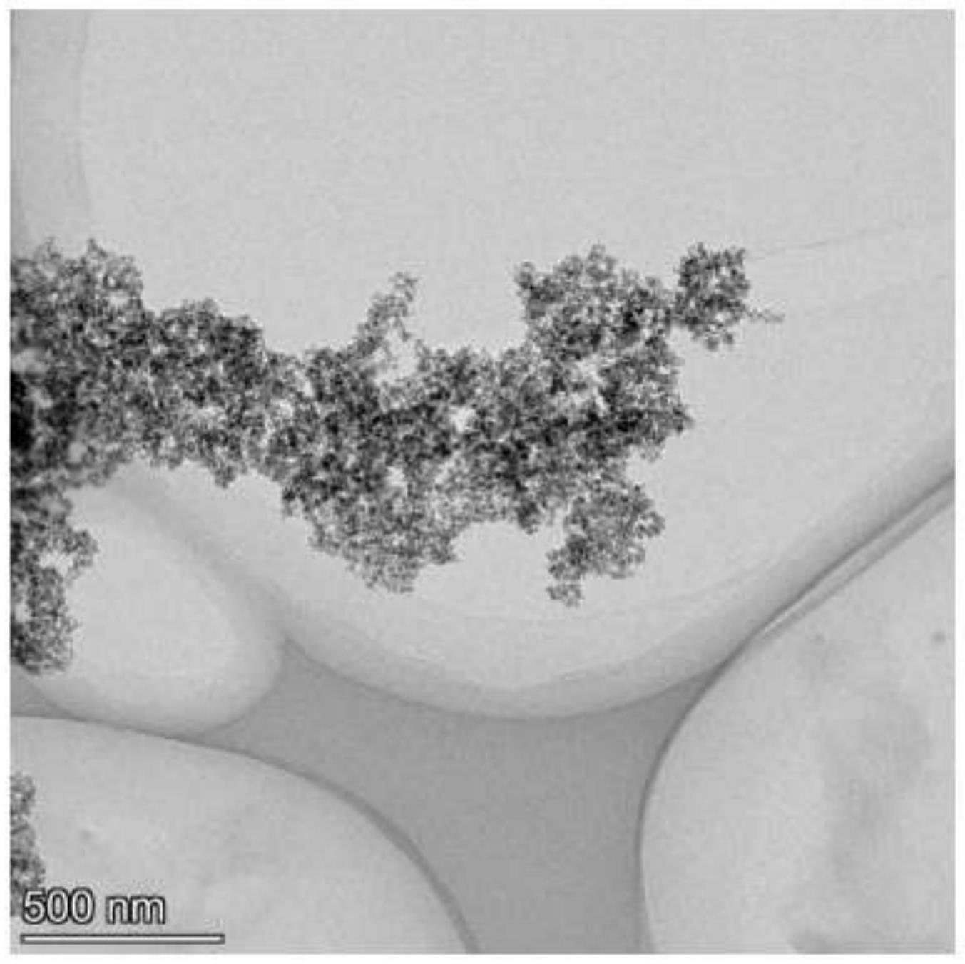 三氧化钼纳米片负载四氧化三铁磁性纳米颗粒的制备方法与流程