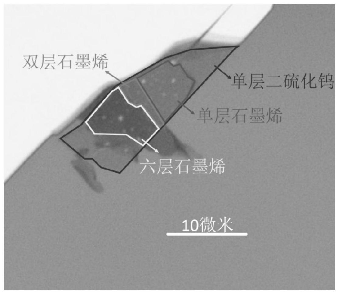 通过石墨烯层厚调制二维半导体材料激子共振吸收的方法与流程