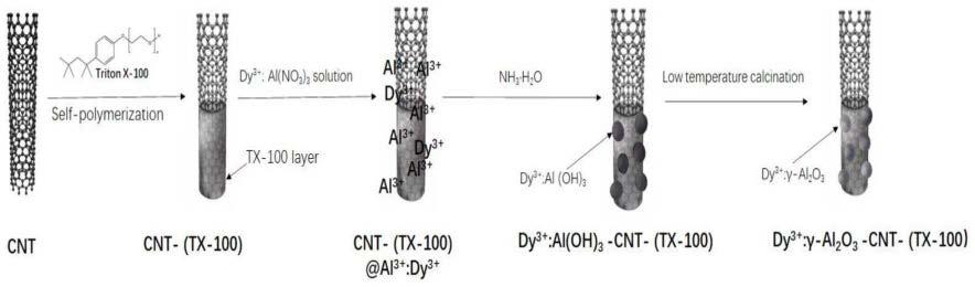 一种表面包裹γ-Al2O3：Dy3+颗粒的碳纳米管吸附剂及其制备方法