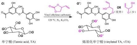 一种烯基取代单宁酸及其制备方法和应用