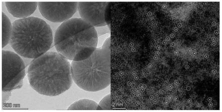 氮掺杂碳褶皱笼负载铜单原子催化剂的合成方法及其应用