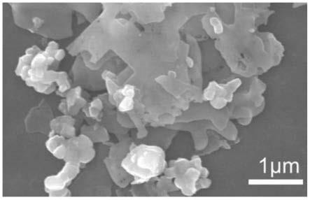 一种钛酸锶/碘氧化铋复合的光催化材料、包含其的光催化薄膜及制备方法和用途