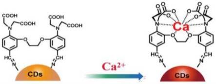 钙离子荧光指示剂的制备方法