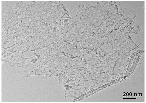一种具有大孔结构石墨烯纳米网的制备方法