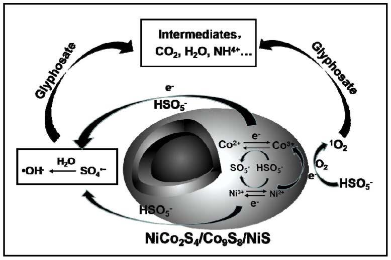 硫掺杂双金属催化材料NiCo2S4/Co9S8/NiS及其制备方法和应用与流程