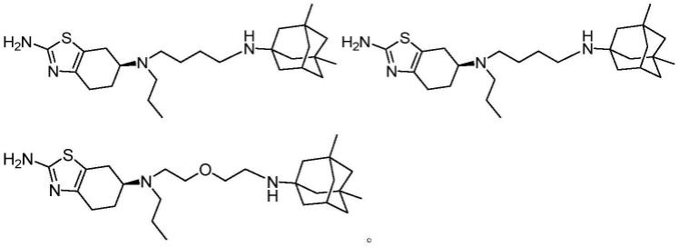兼具D2受体激动和NMDA受体拮抗作用的化合物及其应用