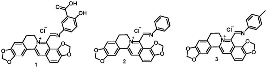 8-苯亚胺基甲基小檗碱型衍生物及其制备药物的应用