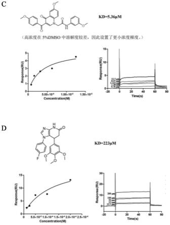 具有DJ-1蛋白稳定剂作用的化合物及其应用的制作方法