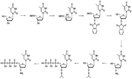 用于制备3’-O-氨基-2’-脱氧核糖核苷-5’-三磷酸的方法与流程