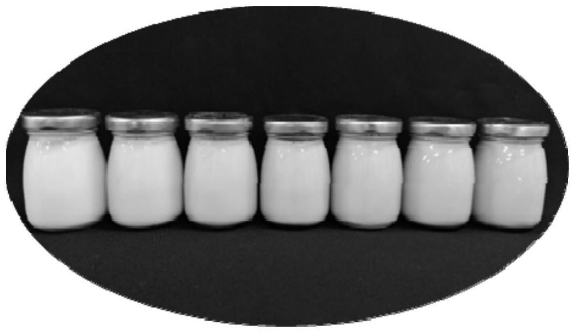 一种藜麦甜菜素风味酸奶及其制备方法