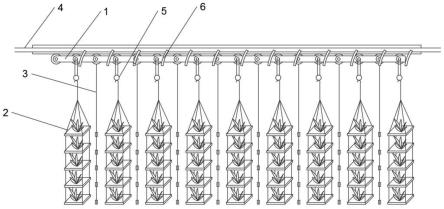 铁皮石斛工厂化栽植系统的制作方法