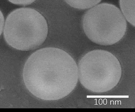 一种具有核壳结构的纳米二氧化硅的制备方法与流程