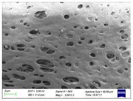 一种高通量、非对称醋酸纤维素平板微孔膜的制备方法与流程