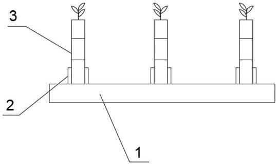 用于观察在不均匀养分供应条件下植物根系的培养装置的制作方法