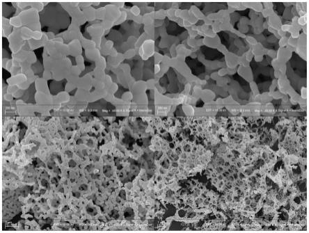 一种多孔立体网状结构镧铁镍钙钛矿材料及其制备方法和应用与流程