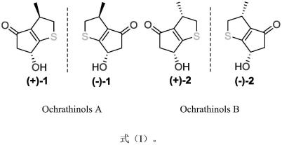 戊酮噻吩类化合物及其制备方法和在抗炎药物中的应用