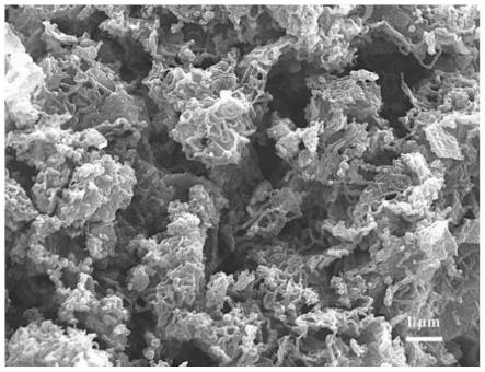 一种改性氮掺杂碳纳米管及其制备方法和应用与流程